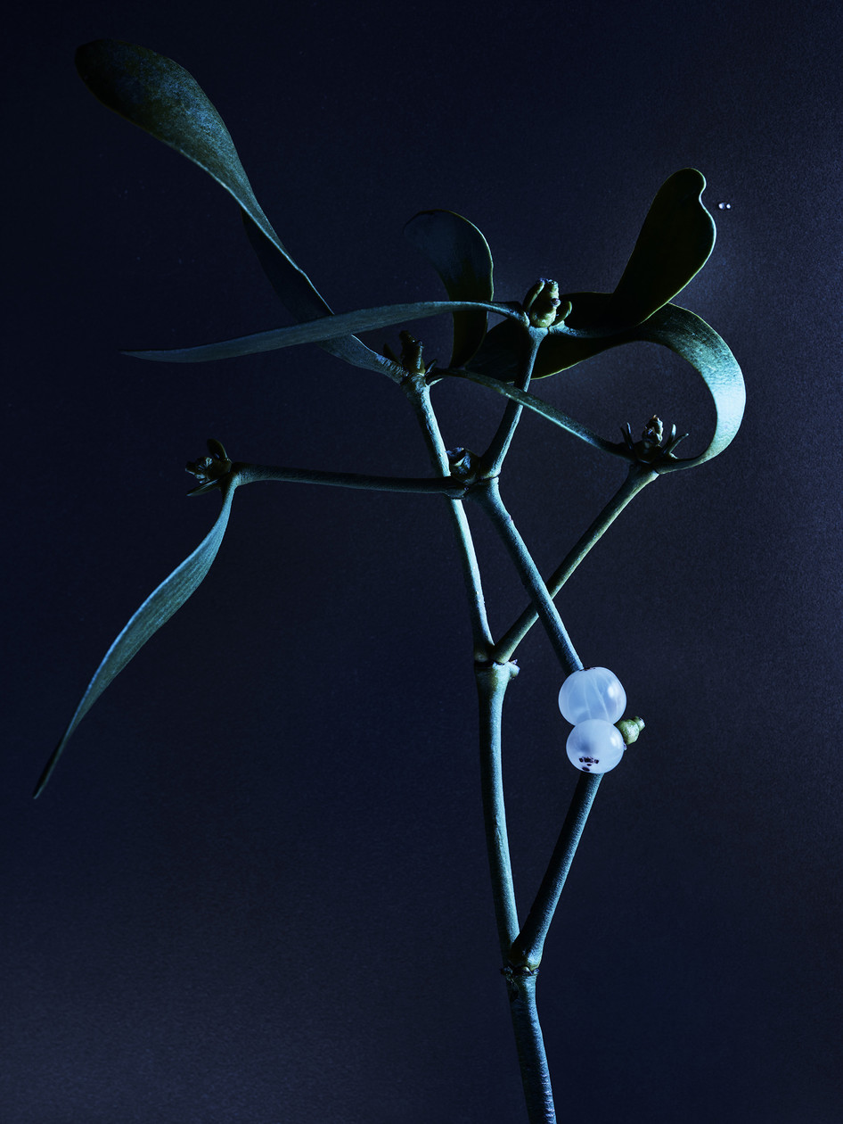 Chaumet I Le Jardin 