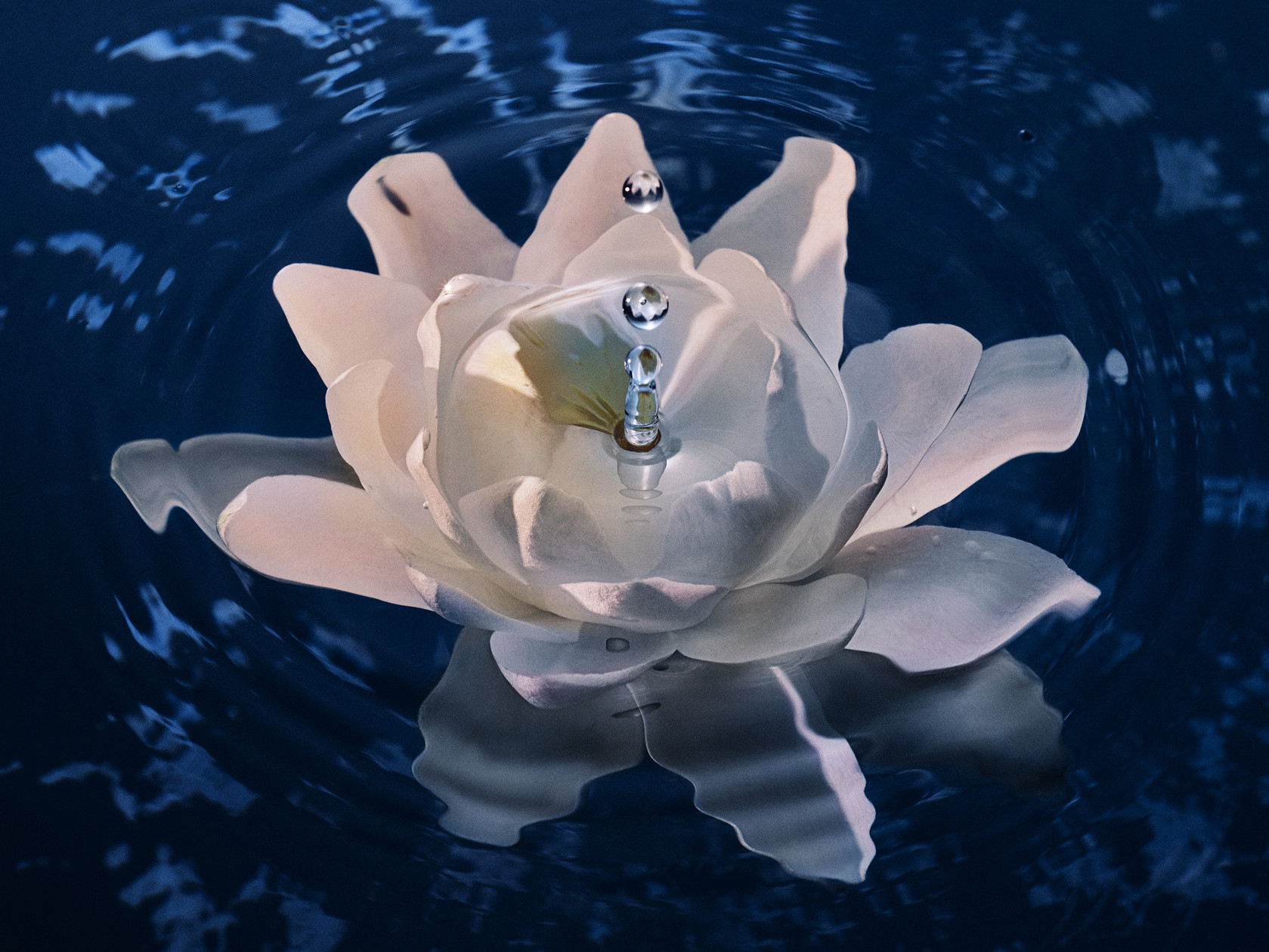 Dior Beauty Photographer Candice Milon