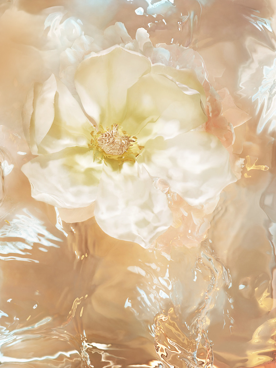 Bvlgari Aqua Divina