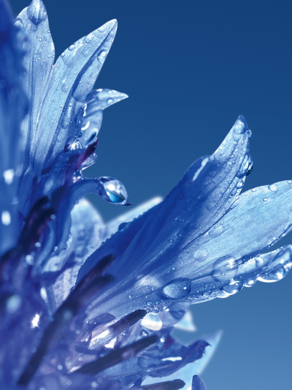 Candice Milon > Advertising > Yves Rocher | Margot de Roquefeuil ...