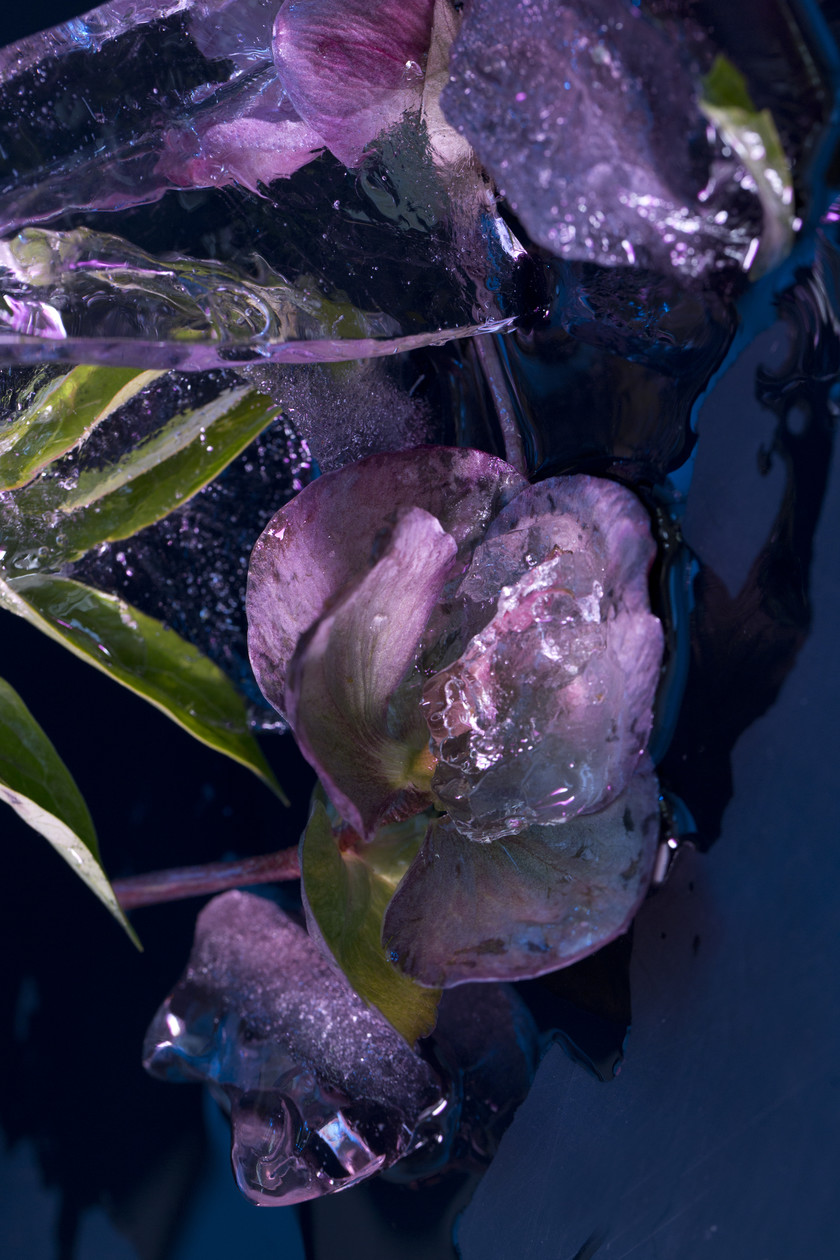 ICE - personal work with phographers duo Antinomia