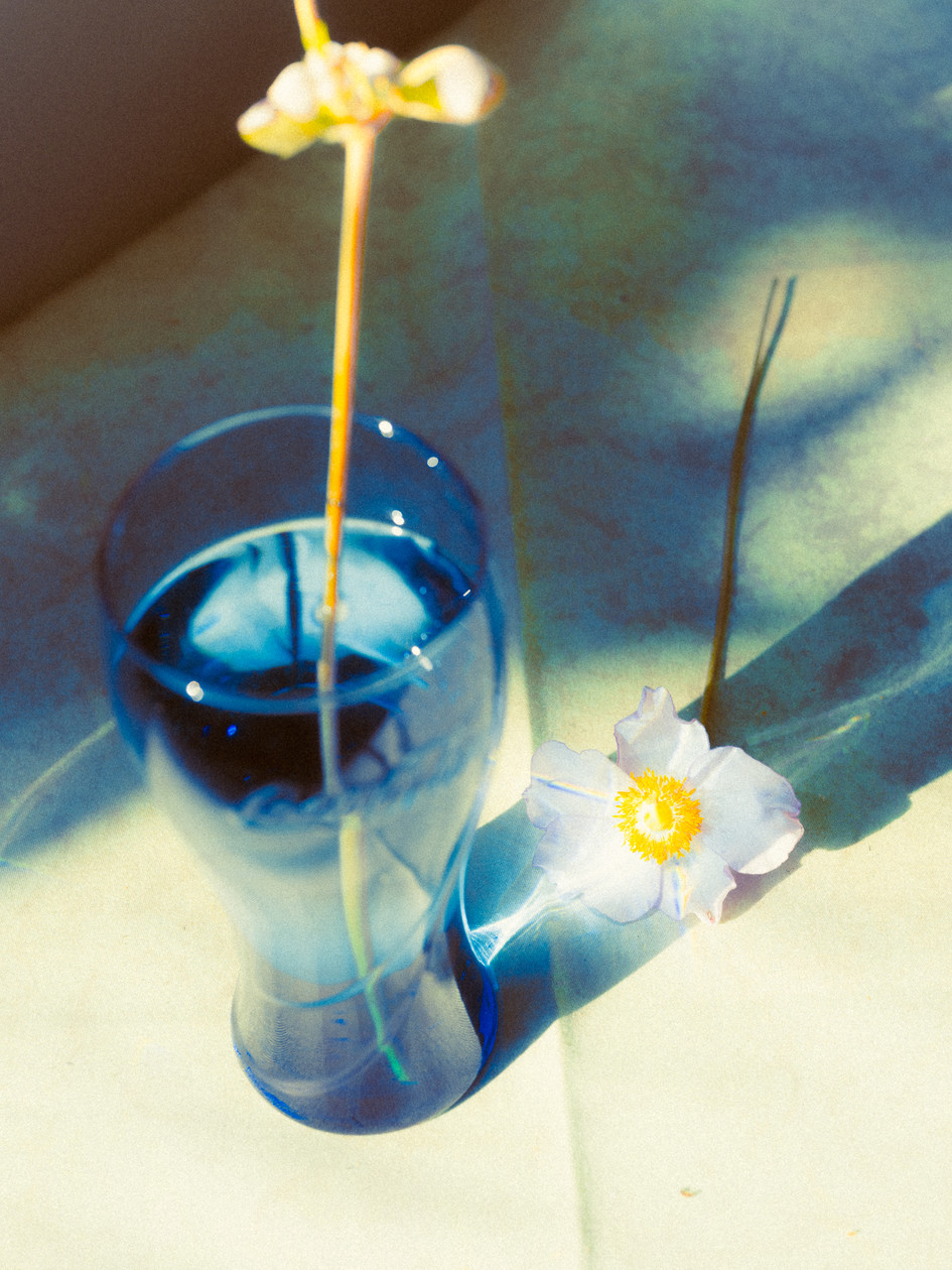 Etienne Francey > Overview Margot de Roquefeuil Artist Management