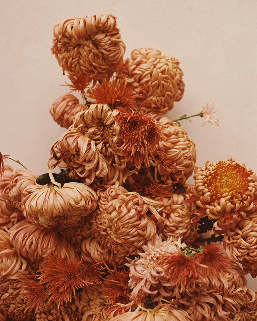 Photo : Amy Humphreys