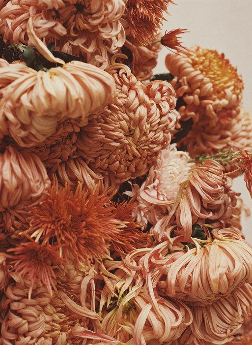 Photo : Amy Humphreys