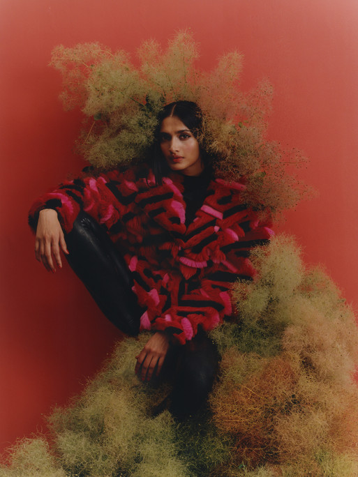 Photo : Amy Humphreys