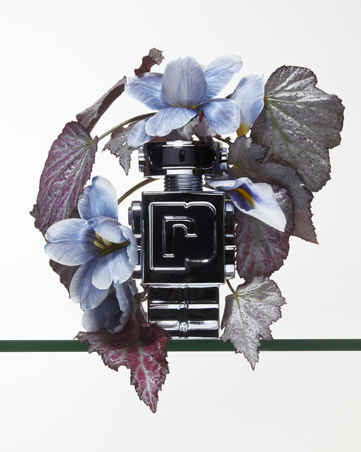 Photo : Amy Humphreys