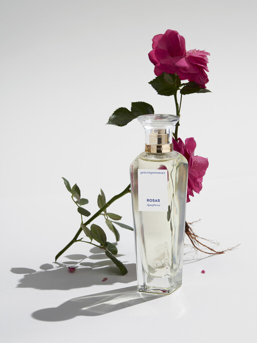 Photo : Amy Humphreys