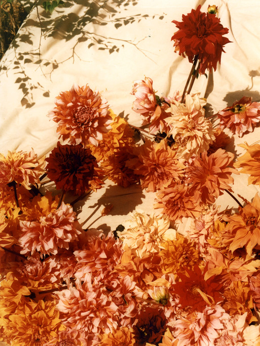 Photo : Amy Humphreys