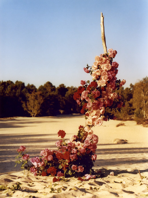 Personal work - Photographer Mathieu Richer