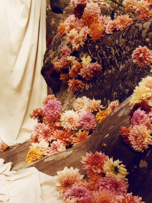 Photo : Amy Humphreys