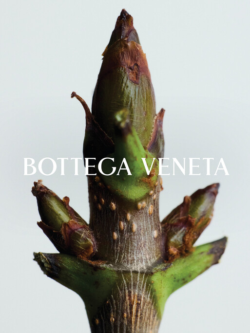 Photo : Amy Humphreys