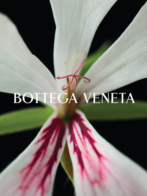 Photo : Amy Humphreys