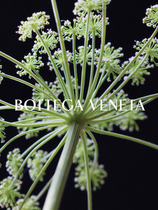 Photo : Amy Humphreys