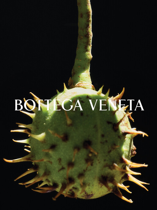 Bottega Veneta I Photographers Deo Suveera & Pamela Dimitrov