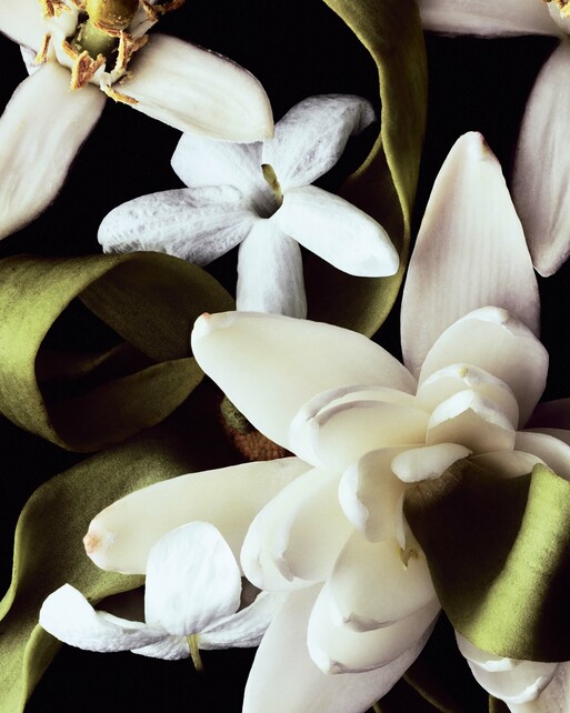 Chanel I Photographer Eduard Sanchez-Ribot