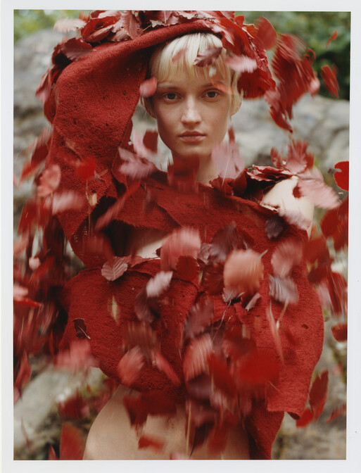 Photo : Amy Humphreys