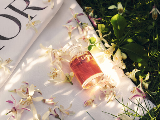 Photo : Amy Humphreys