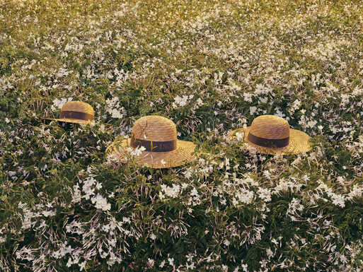 Dior Les Récoltes x Photographer Arnaud Pyvka