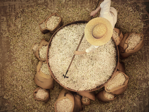 Photo : Amy Humphreys