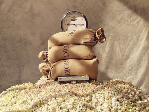 Photo : Amy Humphreys