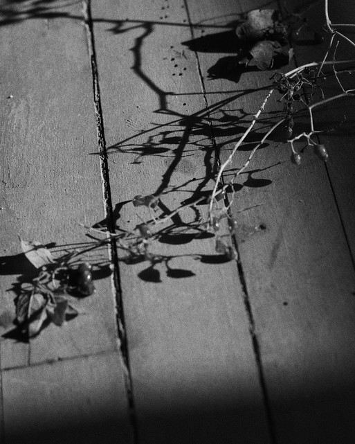 Photo : Amy Humphreys