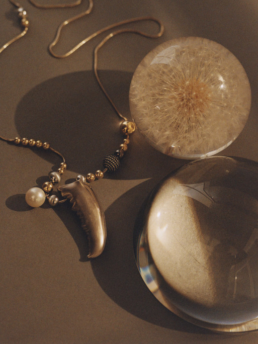 Photo : Amy Humphreys