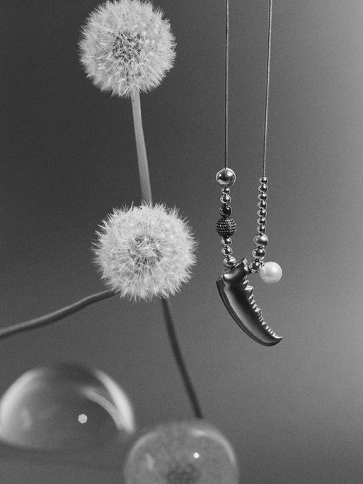 Photo : Amy Humphreys