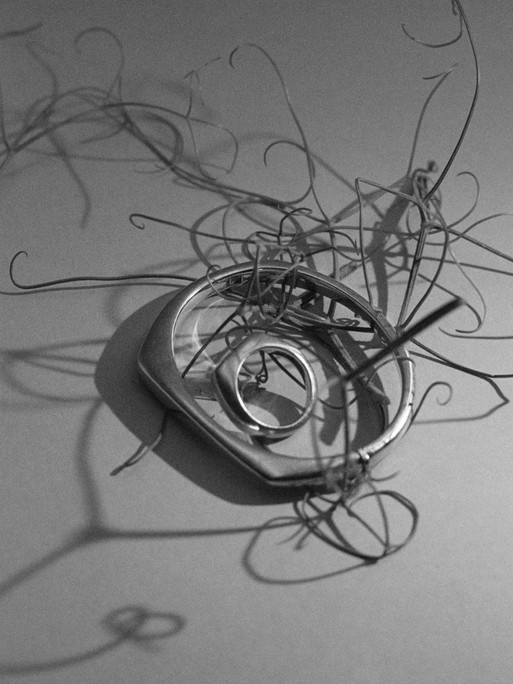 Photo : Amy Humphreys