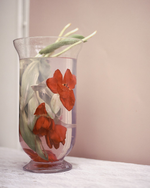 Photo : Amy Humphreys