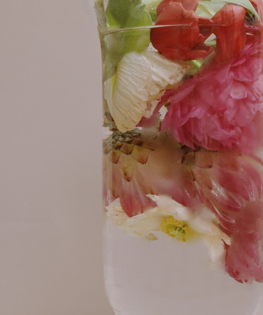 Photo : Amy Humphreys