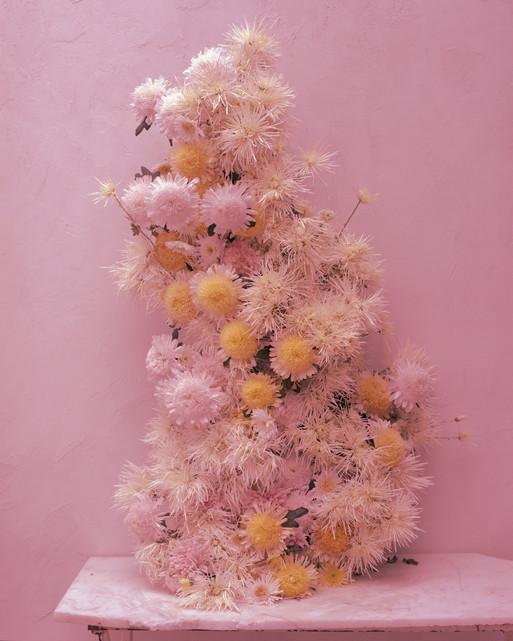 Photo : Amy Humphreys