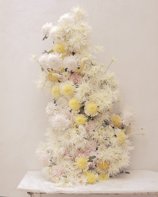 Photo : Amy Humphreys