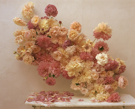 Photo : Amy Humphreys