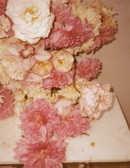 Photo : Amy Humphreys