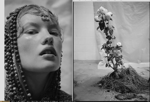 Photo : Amy Humphreys