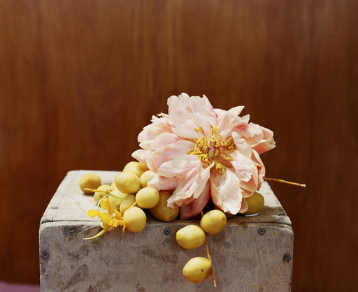 Photo : Amy Humphreys