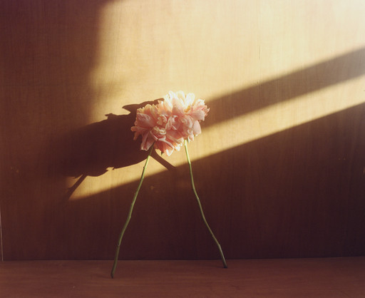 Photo : Amy Humphreys