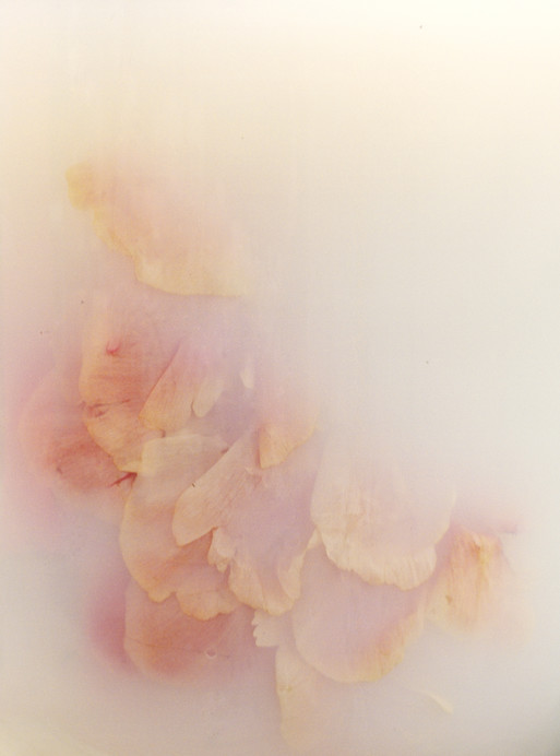 Photo : Amy Humphreys