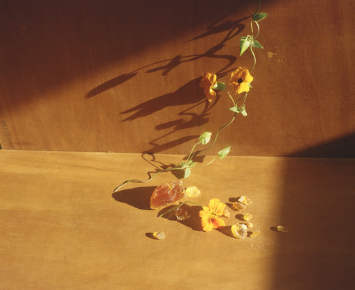 Papier Maché Magazine - Photographer Mélanie Rodriguez