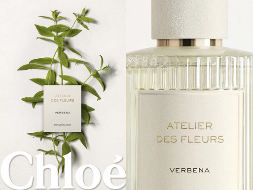 Photo : Amy Humphreys