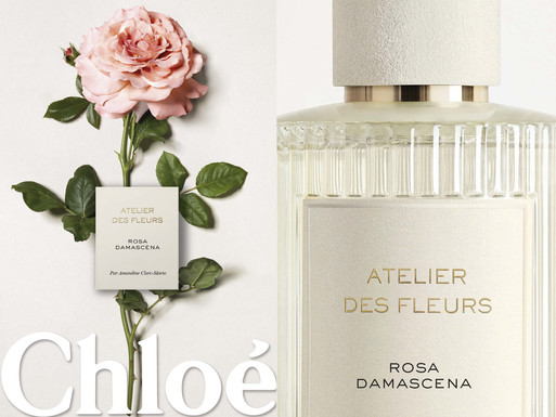 Photo : Amy Humphreys