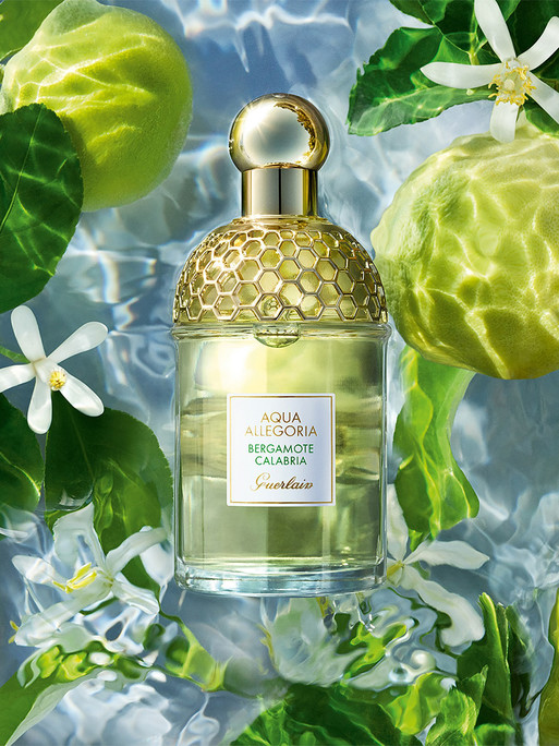 Photo : Amy Humphreys