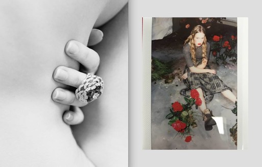 Photo : Amy Humphreys