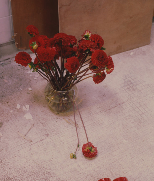Photo : Amy Humphreys