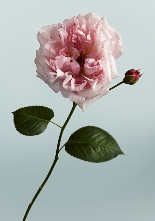 Chanel - Photographer Matthieu Trautmann