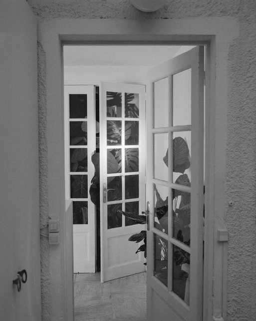 Photo : Amy Humphreys