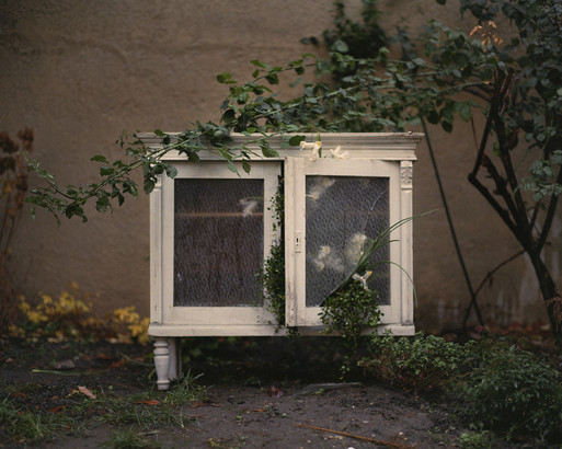 Photo : Amy Humphreys