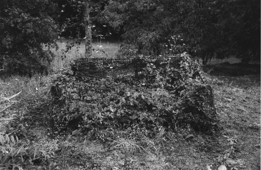 Photo : Amy Humphreys