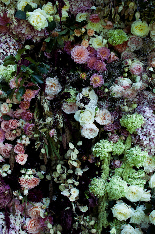 Photo : Amy Humphreys