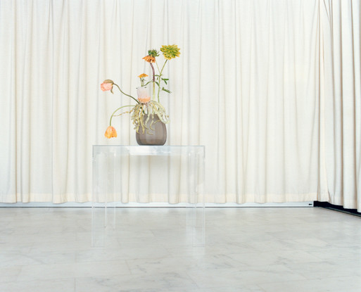 Photo : Amy Humphreys